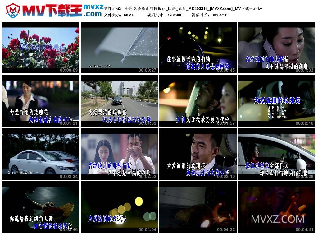 汪哥-为爱流泪的玫瑰花_国语_流行_MD403319